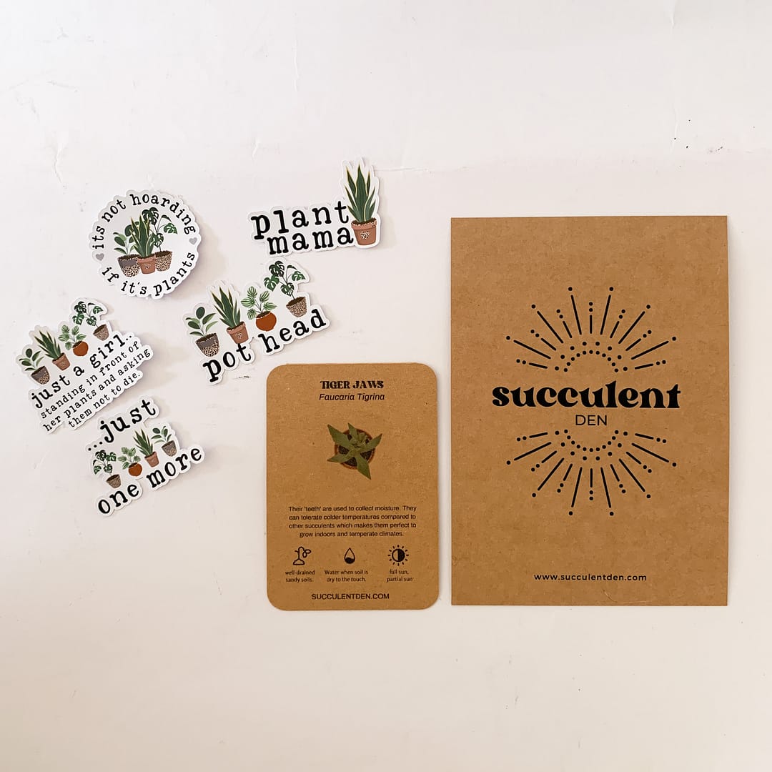 succulent-stickers