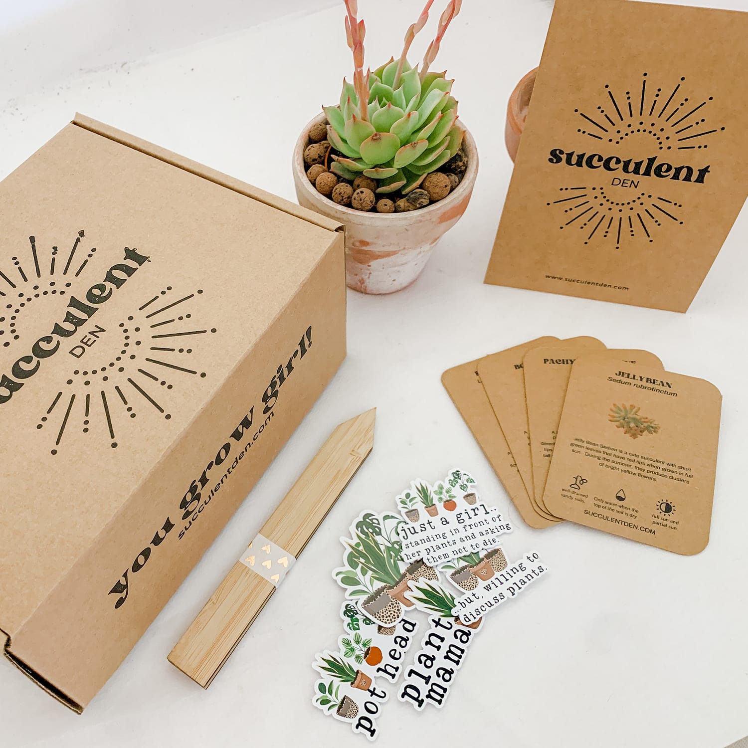 Succulent Gift Boxes Succulent Den