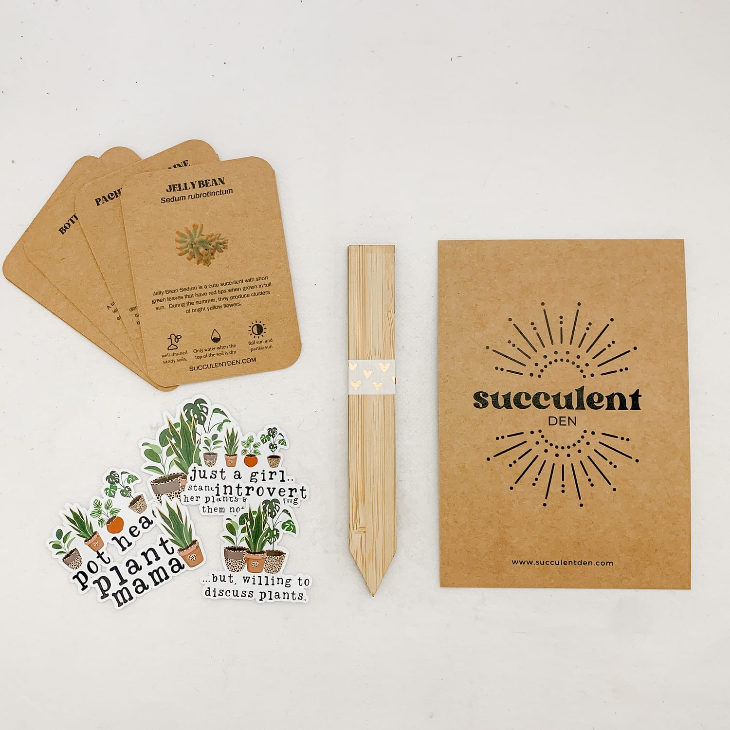 Succulent Gift Box Pack With Stickers, ID Cards, Plant Name Labels