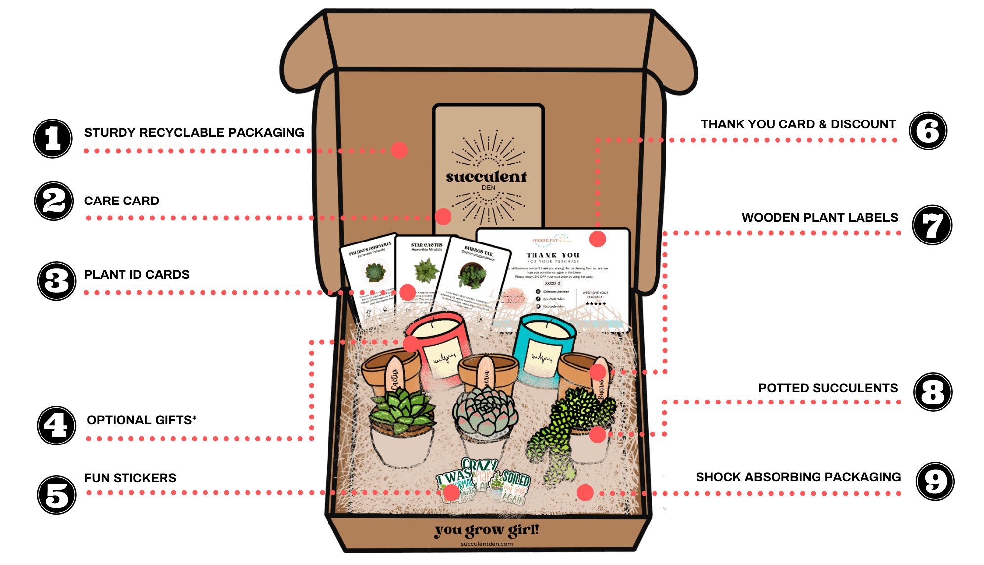 Succulent Den Gift Box Contents
