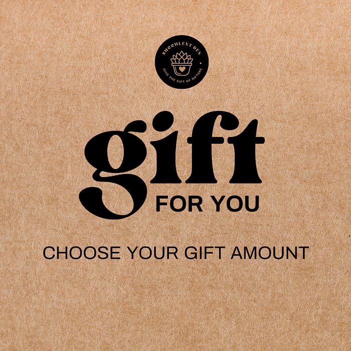 Cantidad de regalo