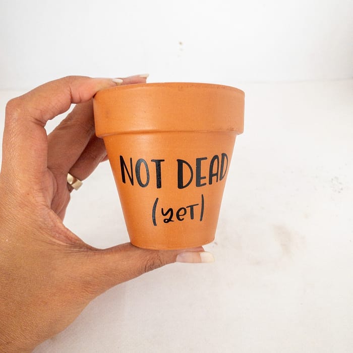 Not Dead Yet Terracotta Plant Pot