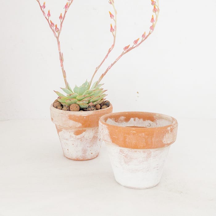 Rustic White Washed Terracotta Pots