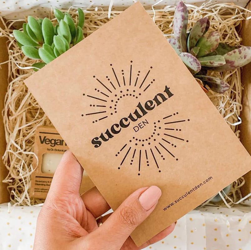 How to unpack your succulent gift box